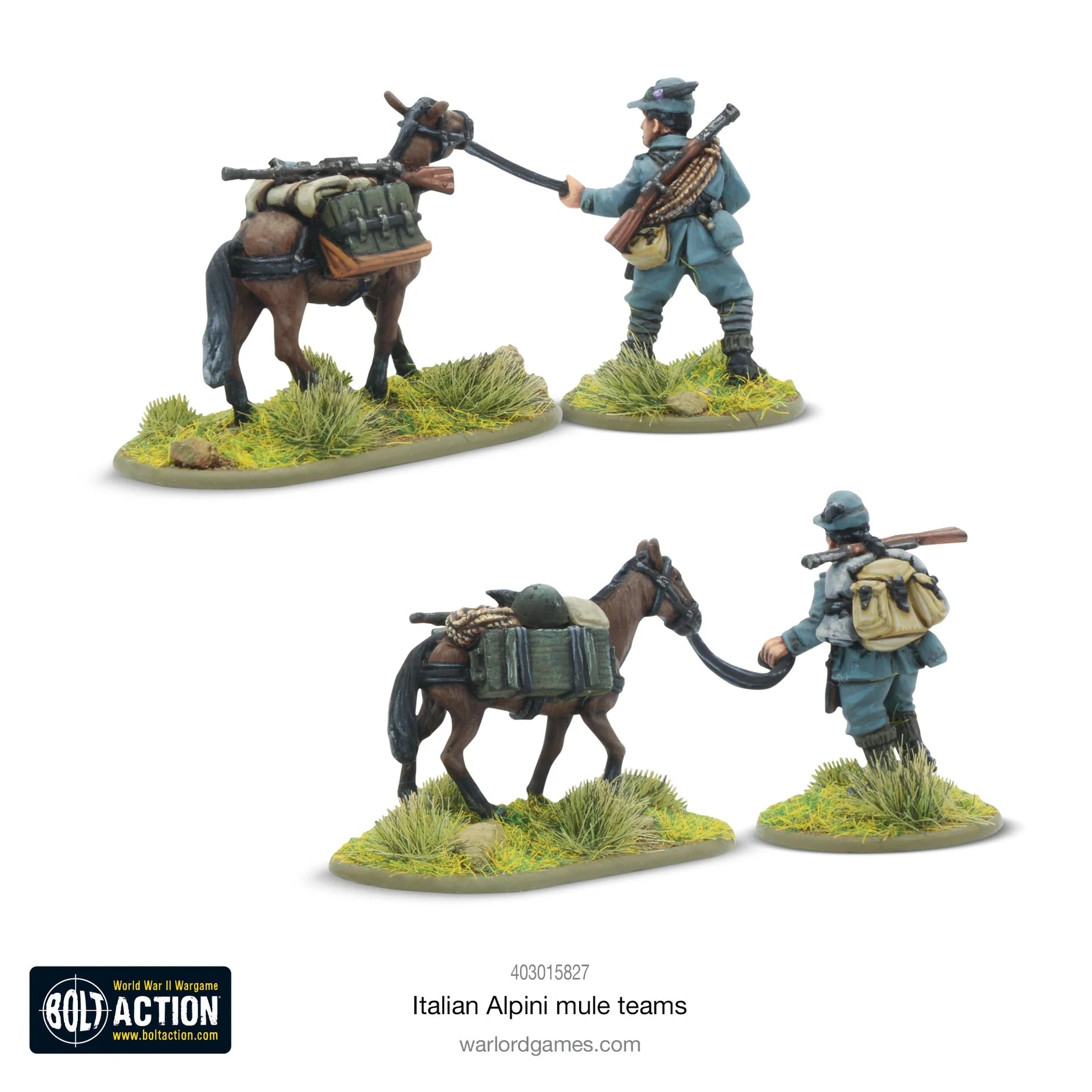 Italian Alpini Mule Teams Italian Warlord Games    | Red Claw Gaming