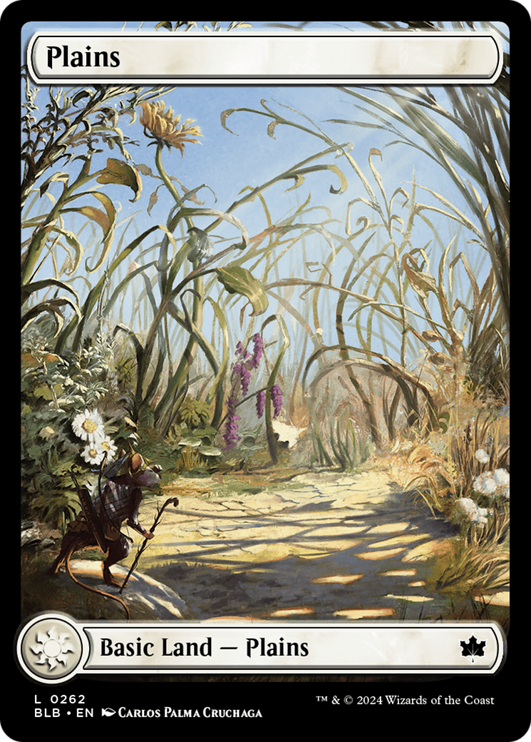 Plains (0262) [Bloomburrow] MTG Single Magic: The Gathering    | Red Claw Gaming