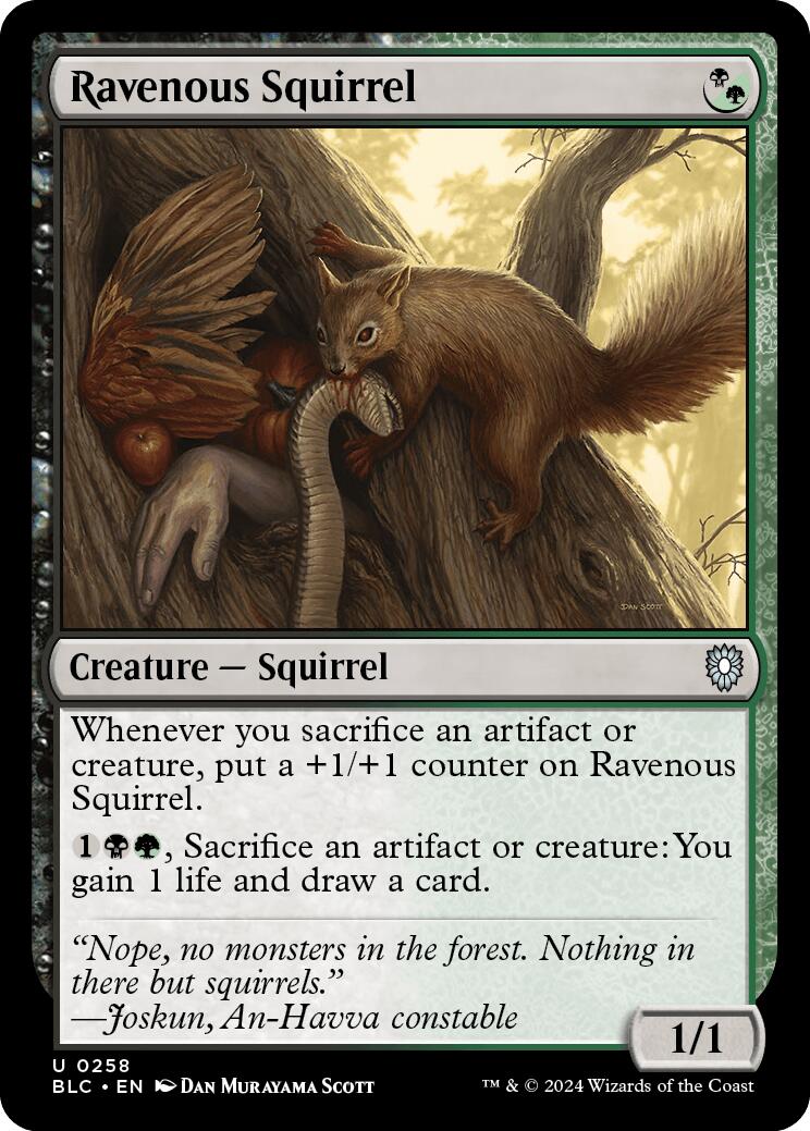 Ravenous Squirrel [Bloomburrow Commander] MTG Single Magic: The Gathering    | Red Claw Gaming