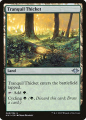 Tranquil Thicket [Modern Horizons] MTG Single Magic: The Gathering    | Red Claw Gaming