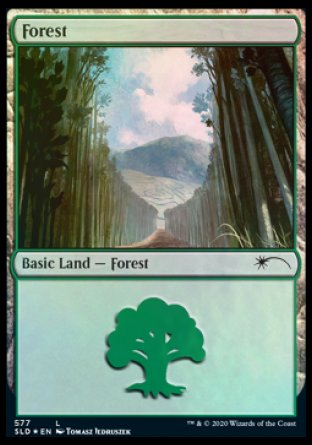 Forest (Walls) (577) [Secret Lair Drop Promos] MTG Single Magic: The Gathering    | Red Claw Gaming