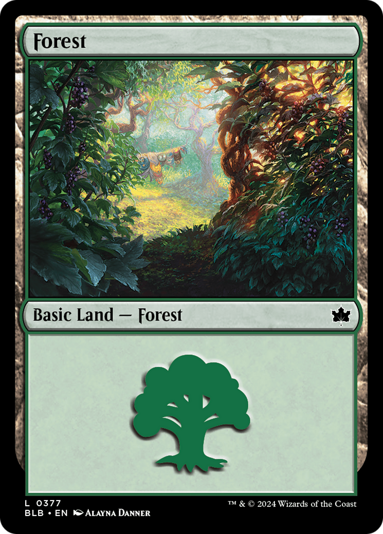 Forest (0377) [Bloomburrow] MTG Single Magic: The Gathering    | Red Claw Gaming