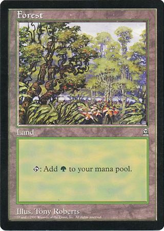 Forest (Oversized) [Oversize Cards] MTG Single Magic: The Gathering    | Red Claw Gaming