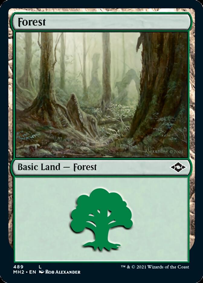 Forest (489) [Modern Horizons 2] MTG Single Magic: The Gathering    | Red Claw Gaming