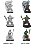 D&D Nolzur's Marvelous Miniatures: Air Genasi Druid Minatures Wizkids Games    | Red Claw Gaming