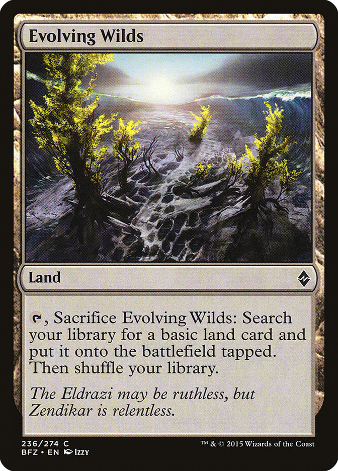 Evolving Wilds [Battle for Zendikar] MTG Single Magic: The Gathering    | Red Claw Gaming