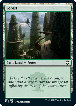 Forest (281) [Dungeons & Dragons: Adventures in the Forgotten Realms] MTG Single Magic: The Gathering    | Red Claw Gaming