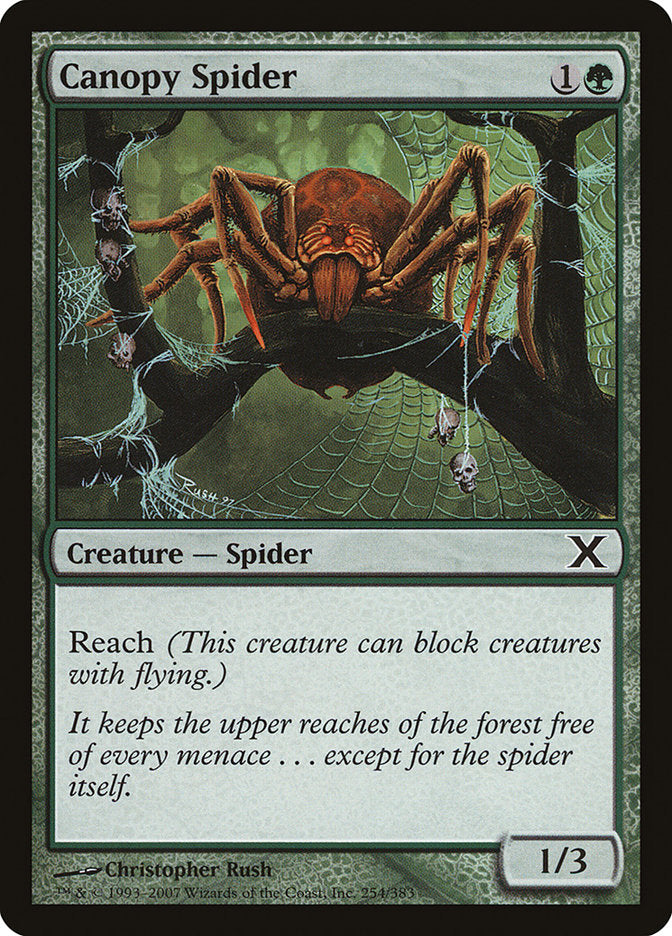 Canopy Spider [Tenth Edition] MTG Single Magic: The Gathering    | Red Claw Gaming