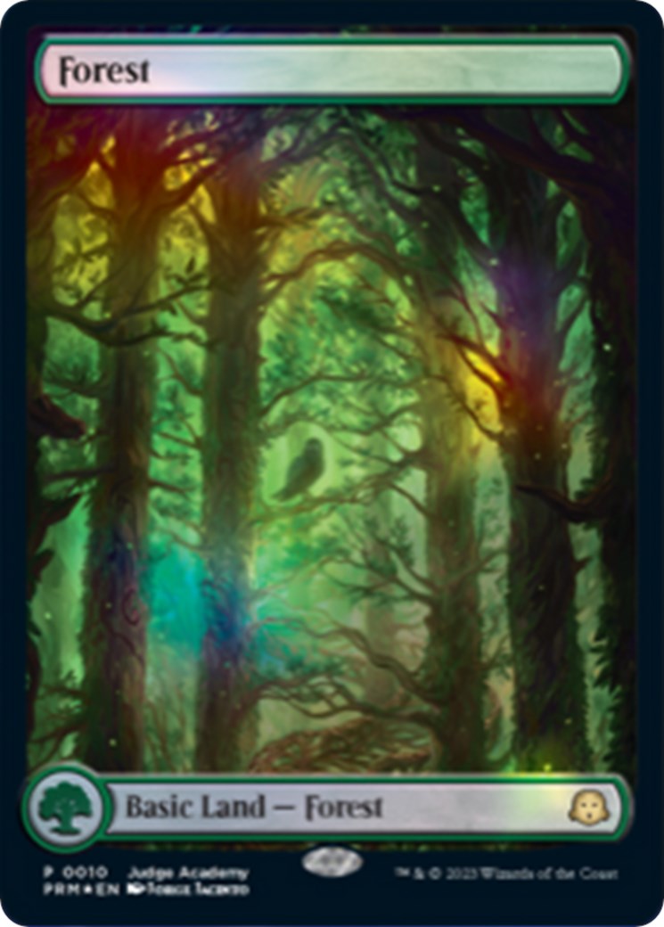 Forest [Judge Gift Cards 2023] MTG Single Magic: The Gathering    | Red Claw Gaming