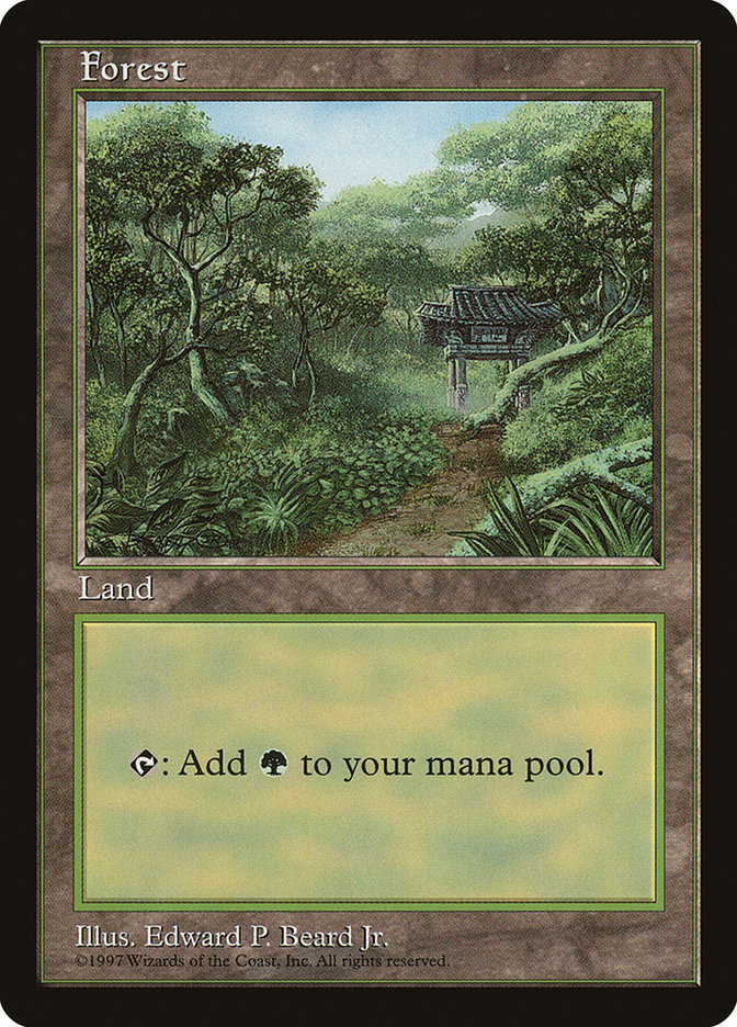 Forest (11) [Asia Pacific Land Program] MTG Single Magic: The Gathering    | Red Claw Gaming