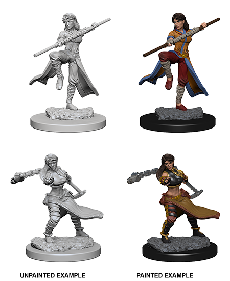 D&D Nolzur's Marvelous Miniatures: Human Monk Minatures Wizkids Games    | Red Claw Gaming