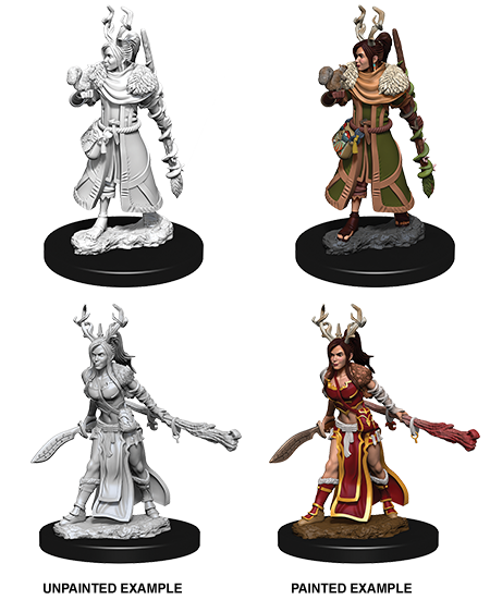 D&D Nolzur's Marvelous Miniatures: Human Druid Minatures Wizkids Games    | Red Claw Gaming