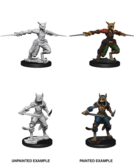 D&D Nolzur's Marvelous Miniatures: Tabaxi Rogue Minatures Wizkids Games    | Red Claw Gaming