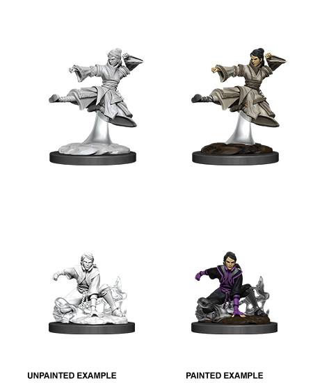 D&D Nolzur's Marvelous Miniatures: Human Monk Minatures Wizkids Games    | Red Claw Gaming