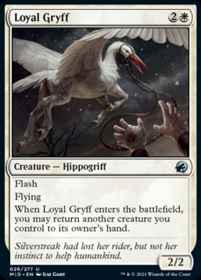 Loyal Gryff [Innistrad: Midnight Hunt] MTG Single Magic: The Gathering    | Red Claw Gaming