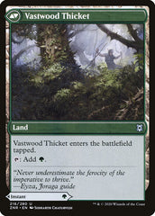 Vastwood Fortification // Vastwood Thicket [Zendikar Rising] MTG Single Magic: The Gathering    | Red Claw Gaming