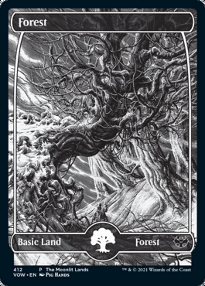 Forest (The Moonlit Lands) (Foil Etched) [Innistrad: Crimson Vow Promos] MTG Single Magic: The Gathering    | Red Claw Gaming