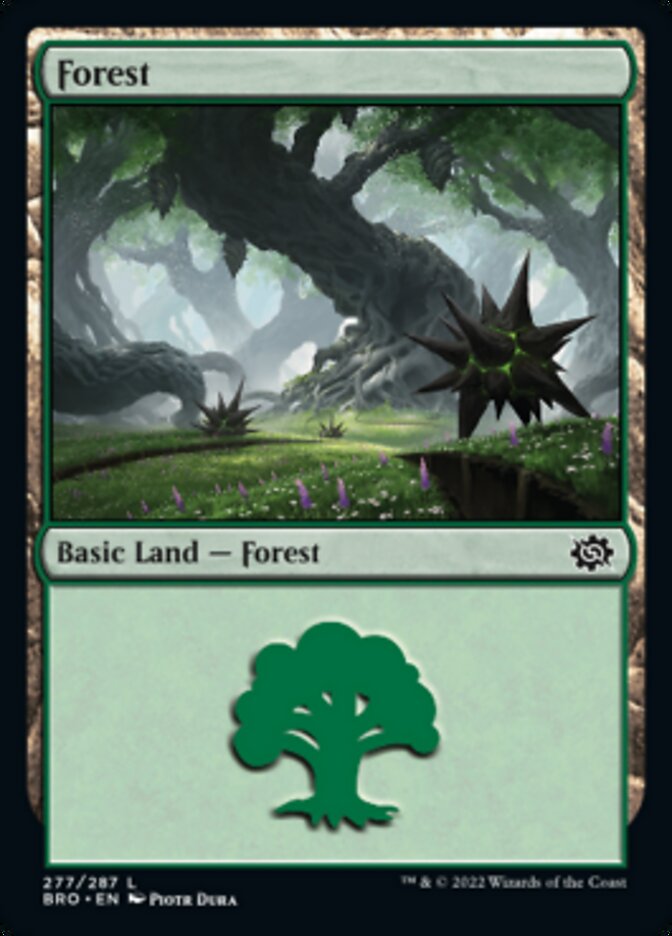 Forest (277) [The Brothers' War] MTG Single Magic: The Gathering    | Red Claw Gaming