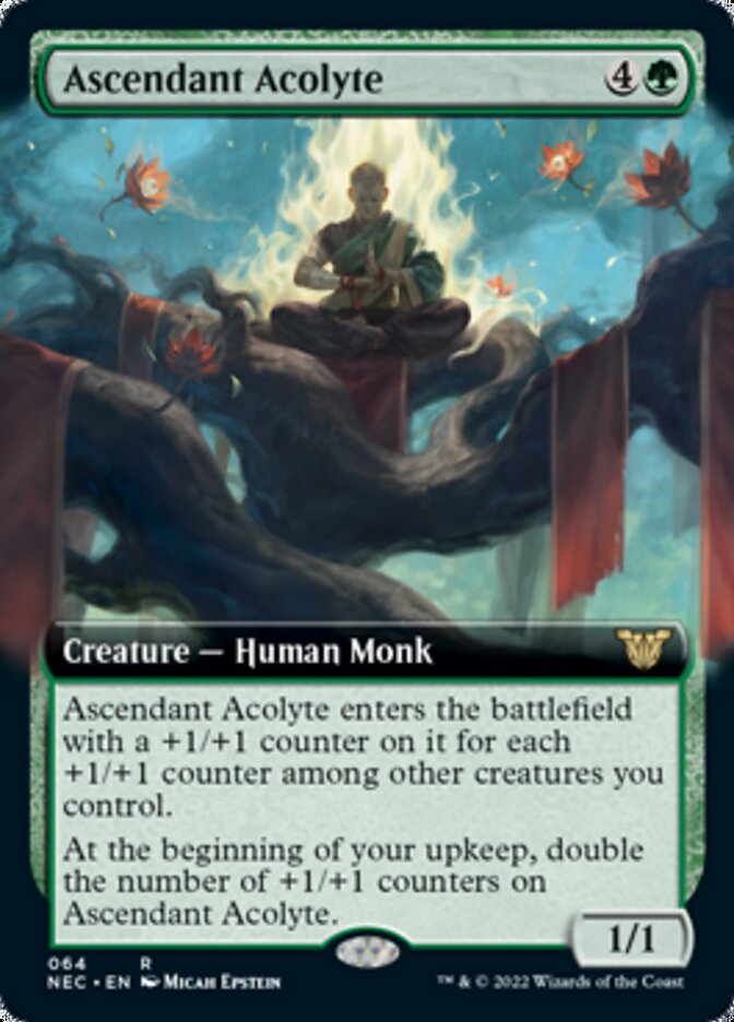 Ascendant Acolyte (Extended Art) [Kamigawa: Neon Dynasty Commander] MTG Single Magic: The Gathering    | Red Claw Gaming