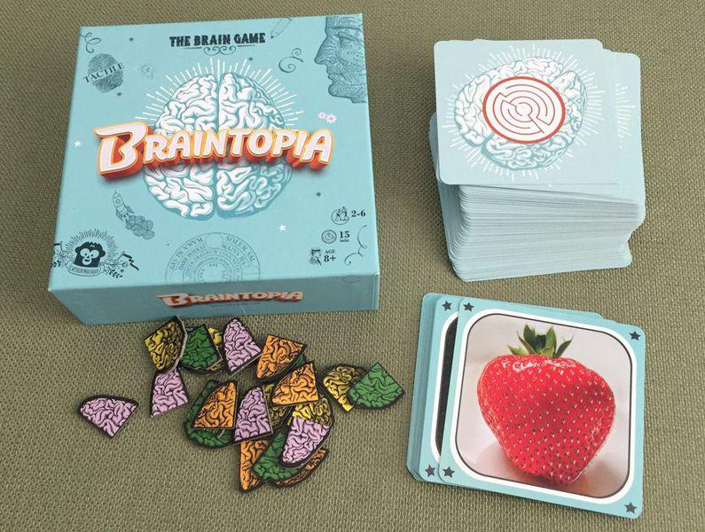 Braintopia Board Games Asmodee    | Red Claw Gaming